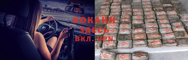 прущая мука Вяземский