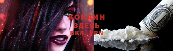 прущая мука Вяземский
