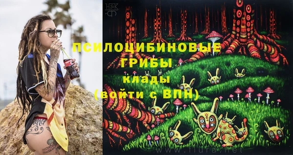 spice Вязьма