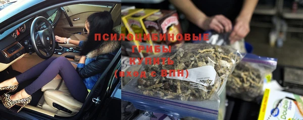 spice Вязьма