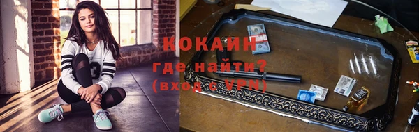 прущая мука Вяземский