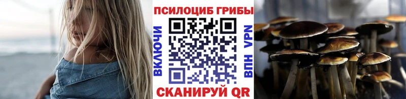 Псилоцибиновые грибы Psilocybine cubensis  Каменка 
